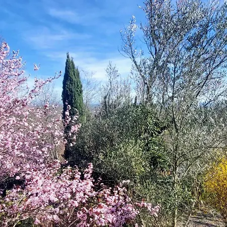Les Hauts De Jeanvert - De Charme - Piscine - Gaillac