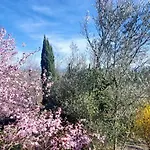 Les Hauts De Jeanvert - De Charme - Piscine - Gaillac