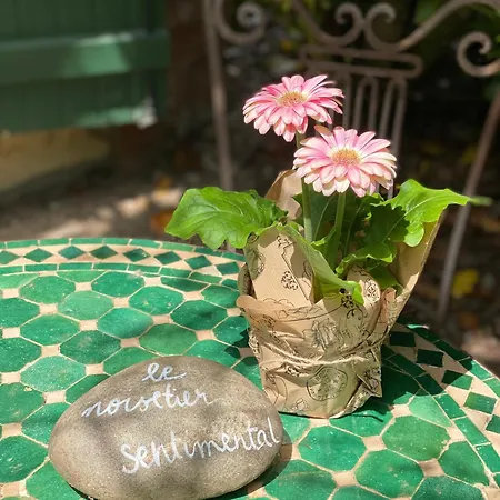 Feriehus Les Hauts De Jeanvert - De Charme - Piscine - Gaillac