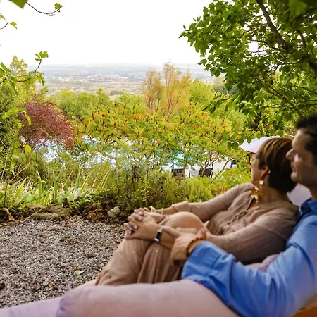 Les Hauts De Jeanvert - De Charme - Piscine - * Gaillac