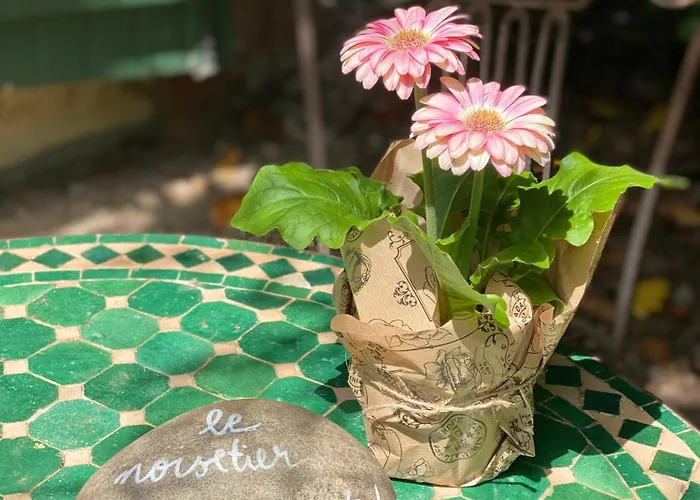 Vakantiehuis Les Hauts De Jeanvert - De Charme - Piscine - Gaillac