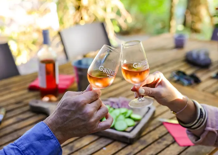 Les Hauts De Jeanvert - De Charme - Piscine - Vakantiehuis *
