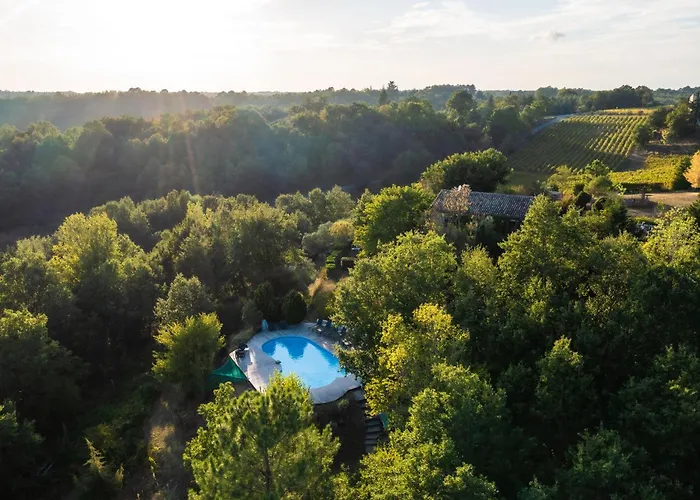 Vakantiehuis Les Hauts De Jeanvert - De Charme - Piscine - Gaillac