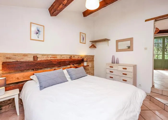 Les Hauts De Jeanvert - De Charme - Piscine - Vakantiehuis Gaillac