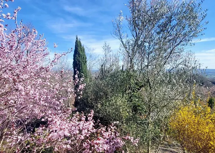 Les Hauts De Jeanvert - De Charme - Piscine - Gaillac