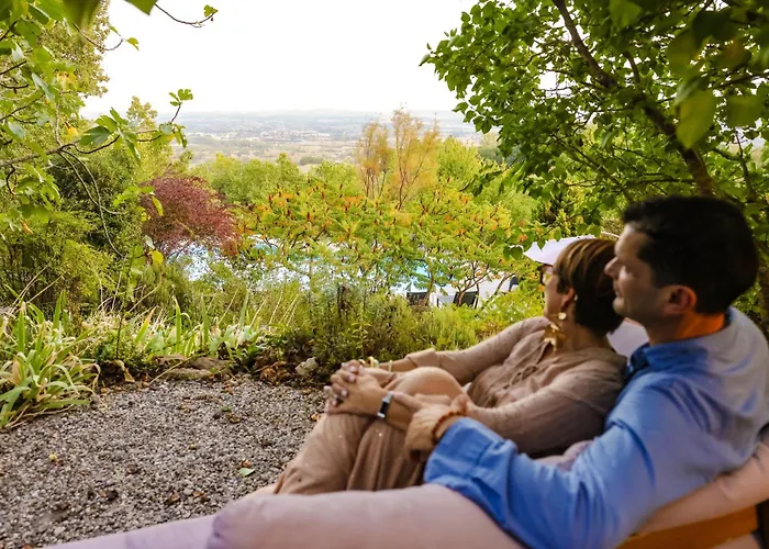 Les Hauts De Jeanvert - De Charme - Piscine - * Gaillac