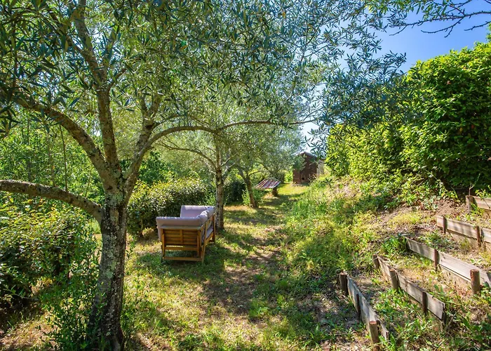 Les Hauts De Jeanvert - De Charme - Piscine - Vakantiehuis *